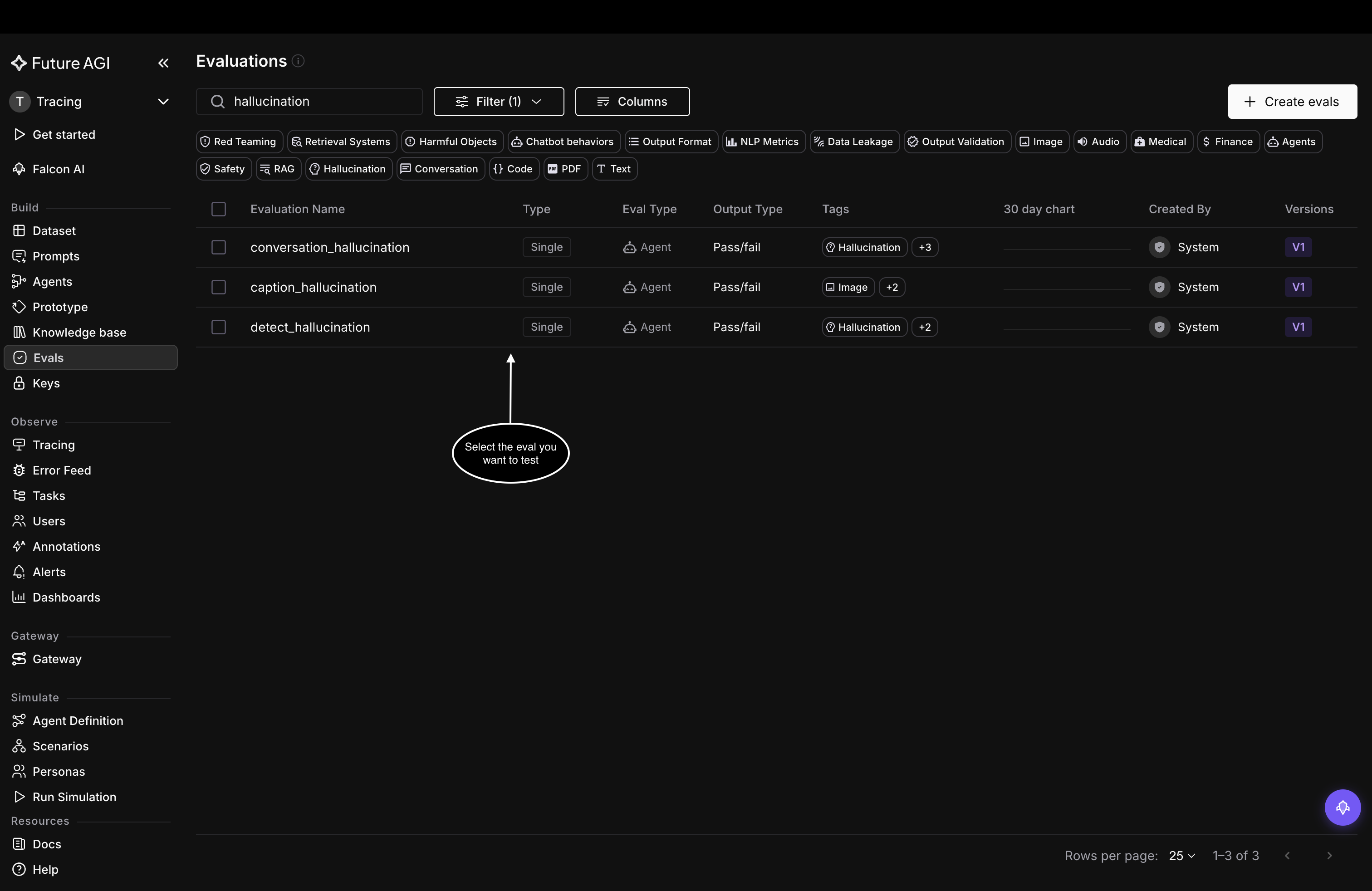 The Evaluations list searched for hallucination, showing conversation_hallucination, caption_hallucination, and detect_hallucination, with a prompt to select the eval to test