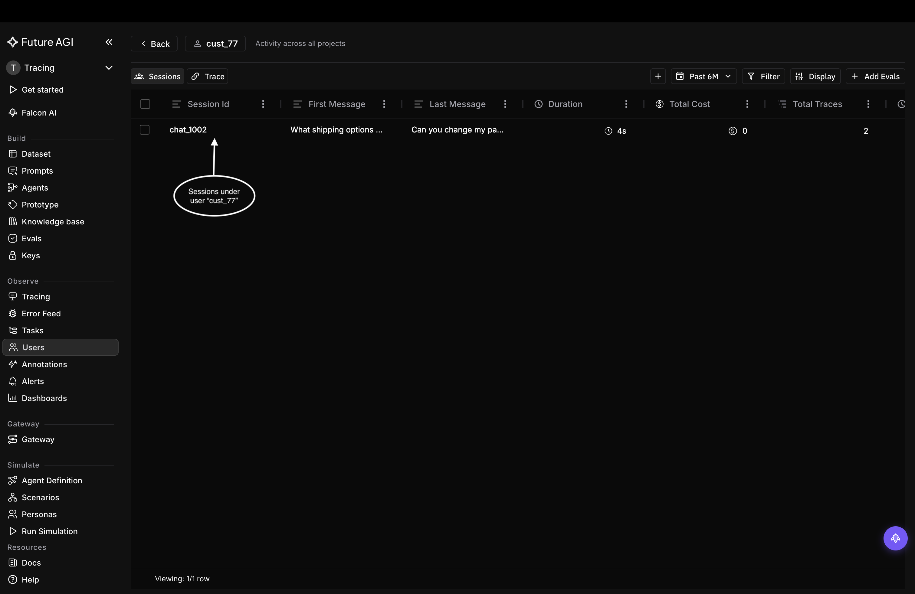 User detail Sessions tab listing every conversation for user cust_77 with first and last message, duration, cost, and trace count