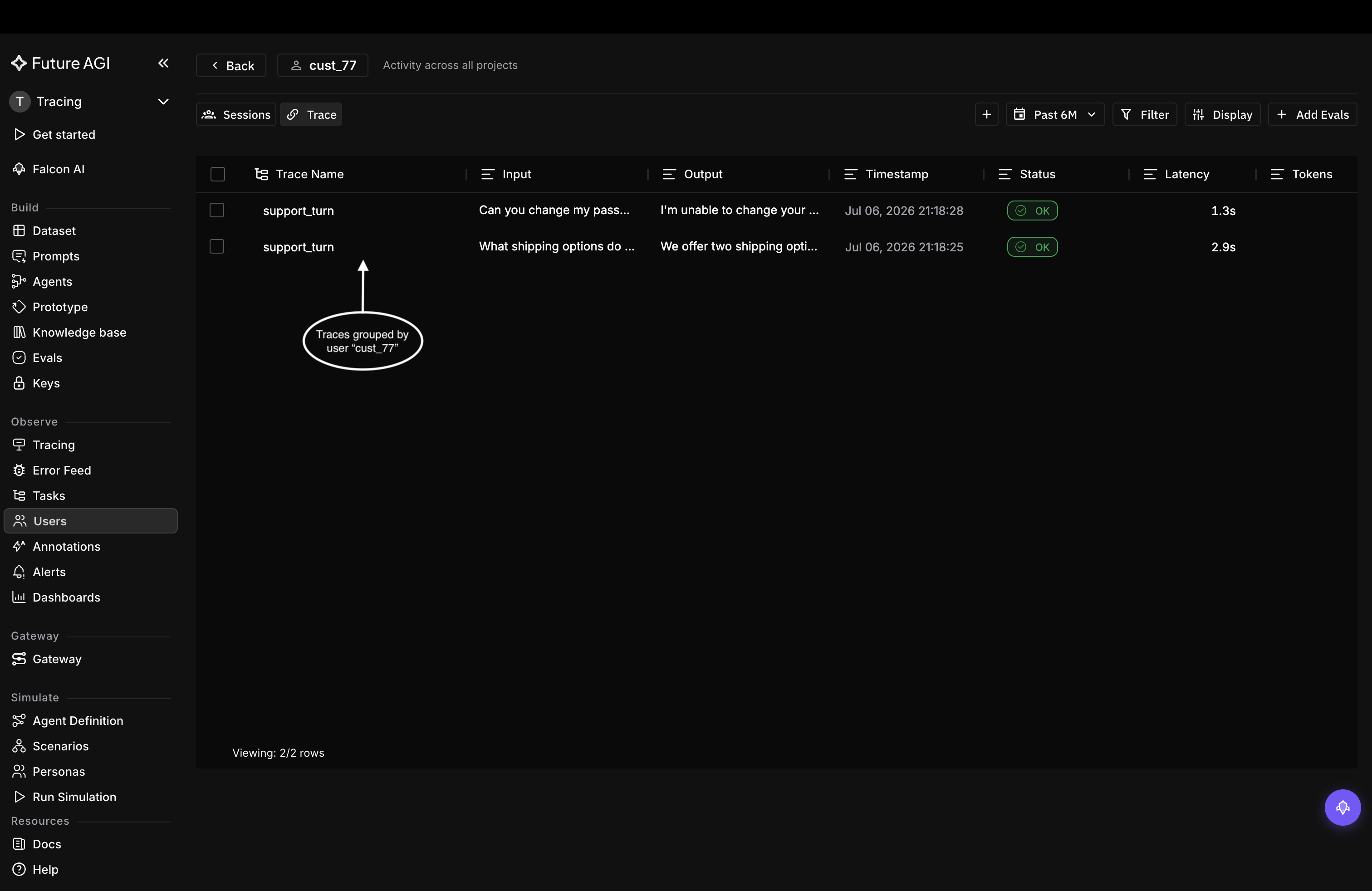 User detail Traces tab listing every trace for user cust_77 with input, output, status, and latency